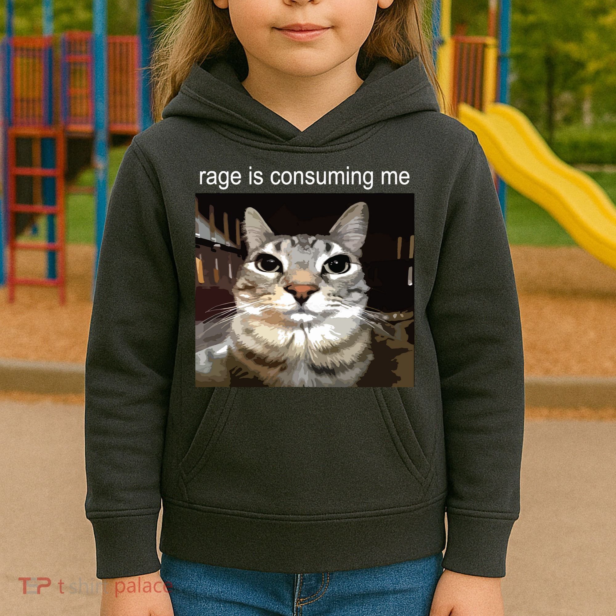 Rage Is Consuming Me Silly Staring Cat Meme Kids Hoodie