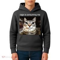 Rage Is Consuming Me Silly Staring Cat Meme Kids Hoodie thumb 4