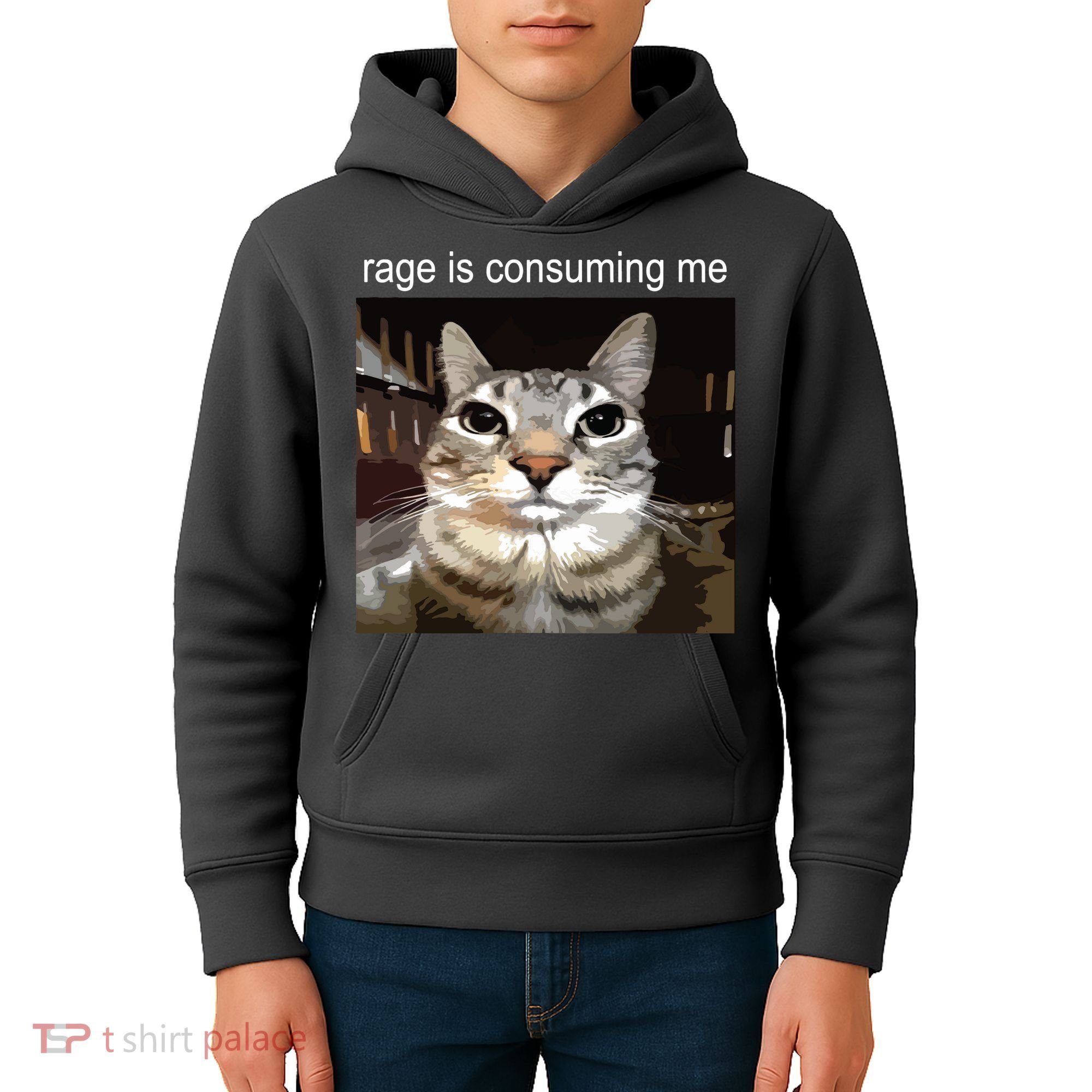 Rage Is Consuming Me Silly Staring Cat Meme Kids Hoodie