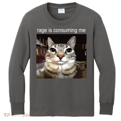 Rage Is Consuming Me Silly Staring Cat Meme Kids Long Sleeve Shirt