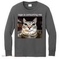 Rage Is Consuming Me Silly Staring Cat Meme Kids Long Sleeve Shirt thumb 0