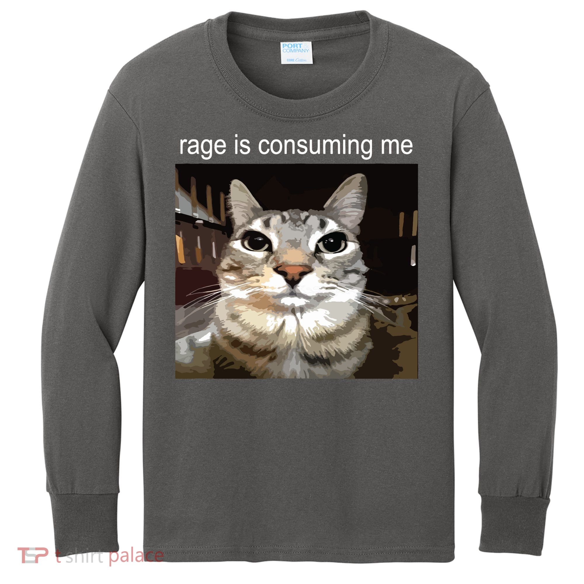 Rage Is Consuming Me Silly Staring Cat Meme Kids Long Sleeve Shirt