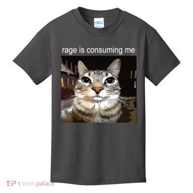 Rage Is Consuming Me Silly Staring Cat Meme Kids T-Shirt