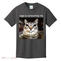 Rage Is Consuming Me Silly Staring Cat Meme Kids T-Shirt thumb 0