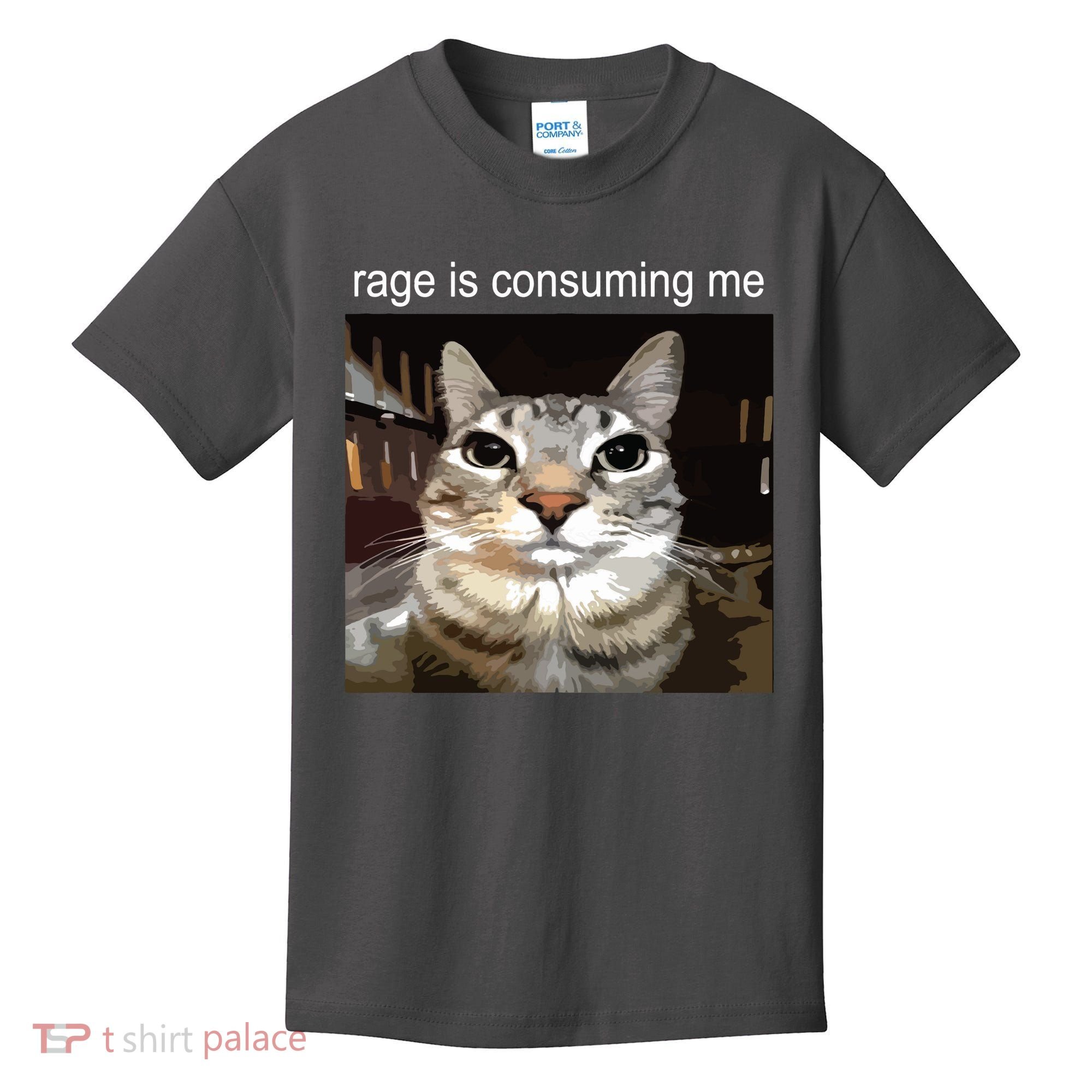Rage Is Consuming Me Silly Staring Cat Meme Kids T-Shirt