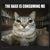 Rage Is Consuming Me Tumbler thumb 3