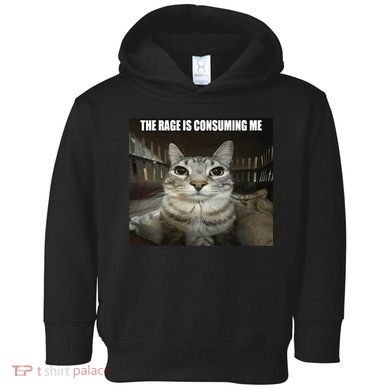 Rage Is Consuming Me Toddler Hoodie