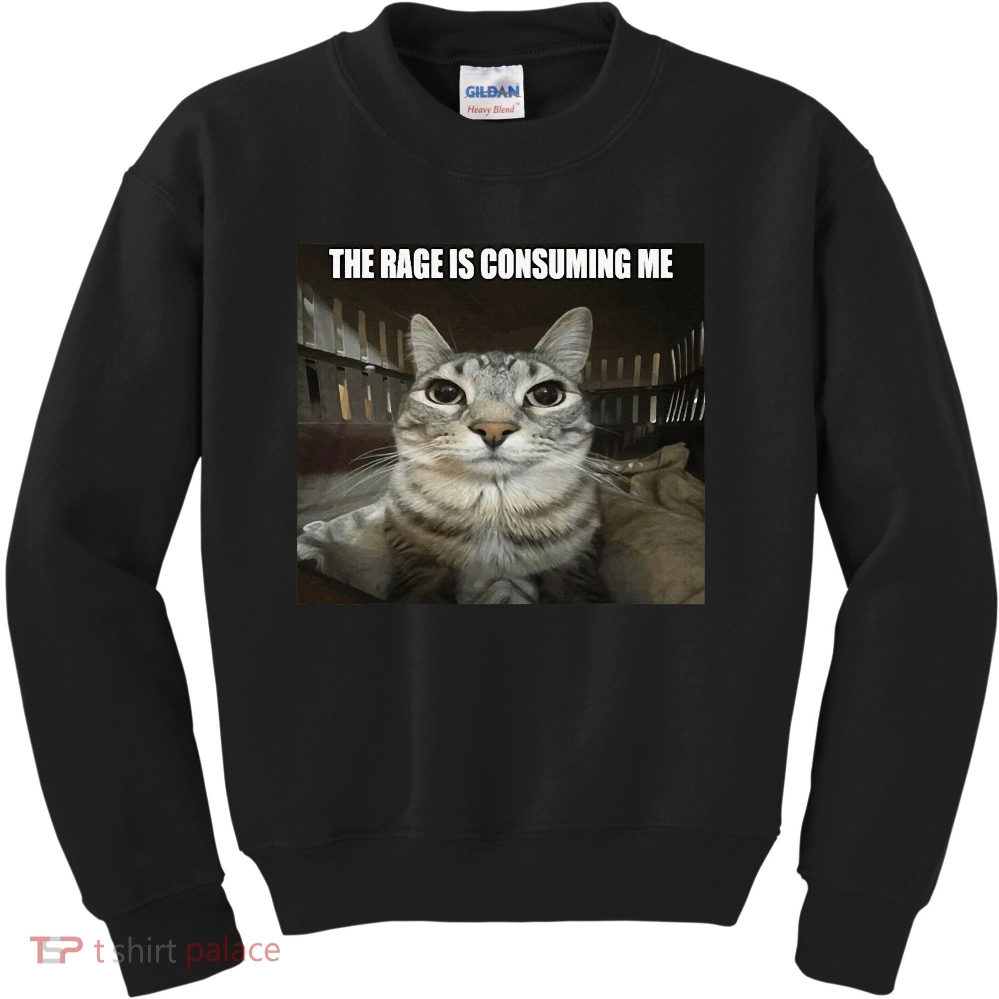 Rage Is Consuming Me Kids Sweatshirt