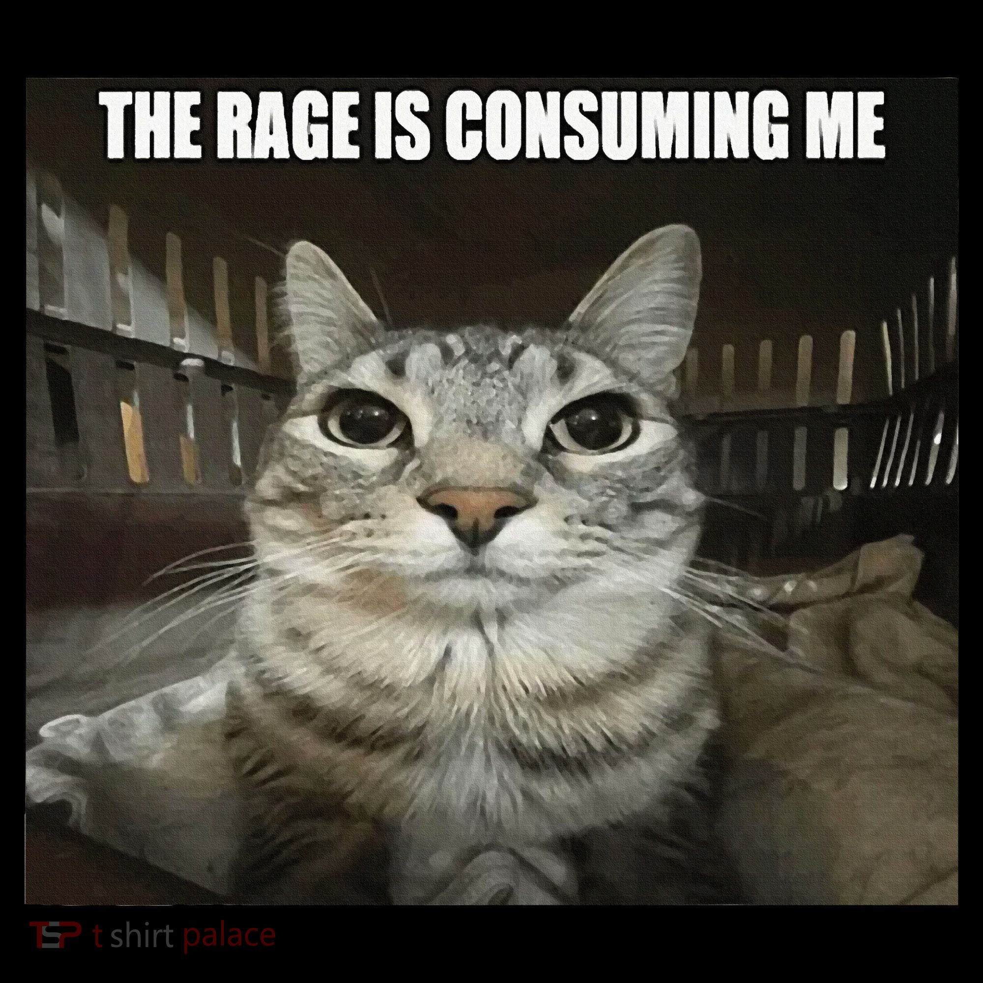 Rage Is Consuming Me Kids Sweatshirt