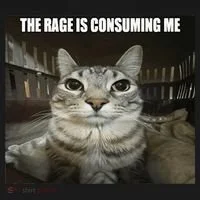 Rage Is Consuming Me Kids T-Shirt thumb 4