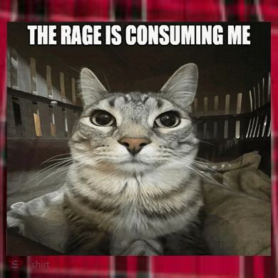 Rage Is Consuming Me Women's Flannel Plaid Pajama Pants