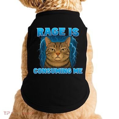 Rage Is Consuming Me Funny Lightning Angry Cat Meme Doggie Tank