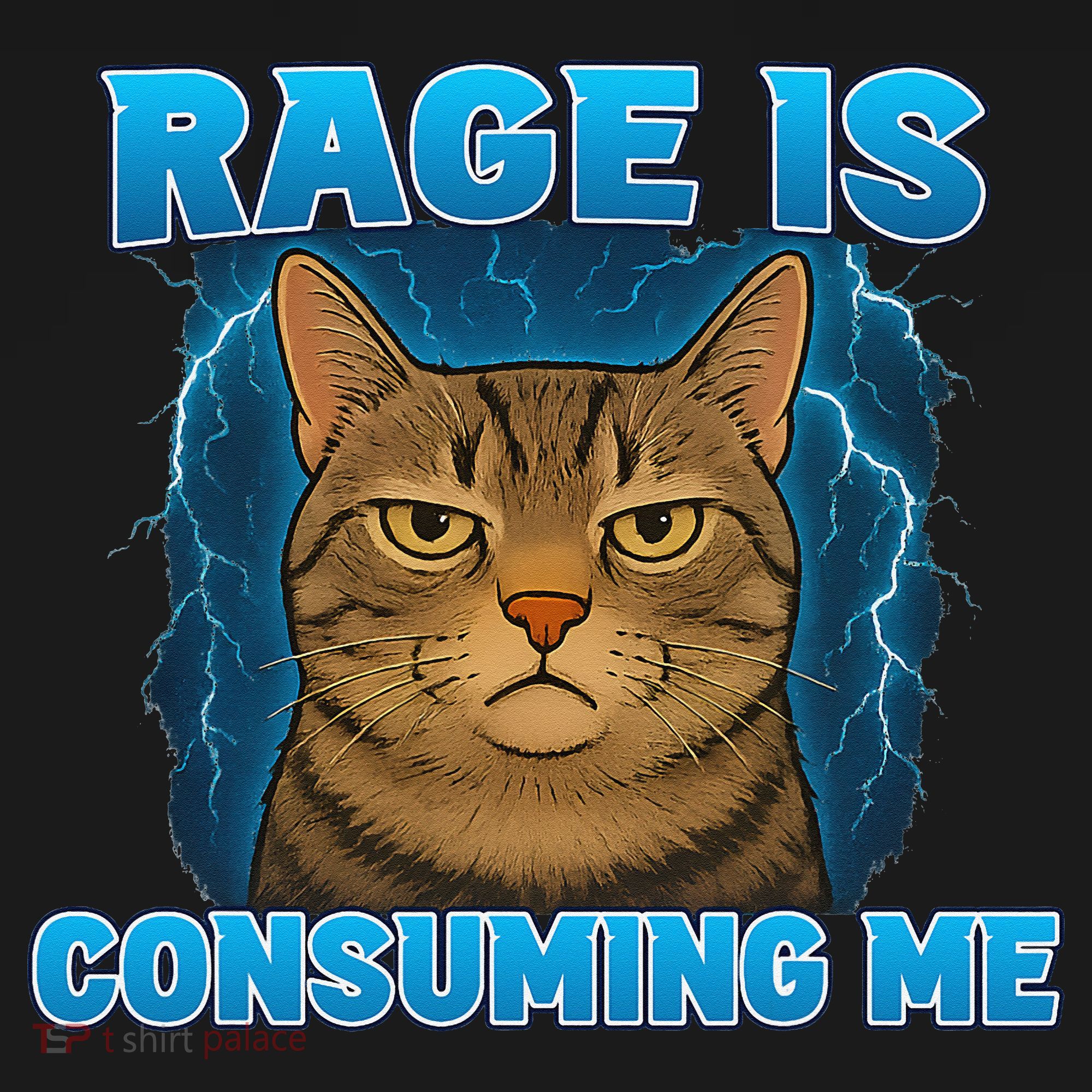 Rage Is Consuming Me Funny Lightning Angry Cat Meme Apron