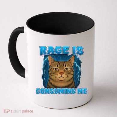 Rage Is Consuming Me Funny Lightning Angry Cat Meme Coffee Mug