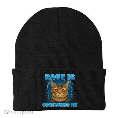 Rage Is Consuming Me Funny Lightning Angry Cat Meme Beanie