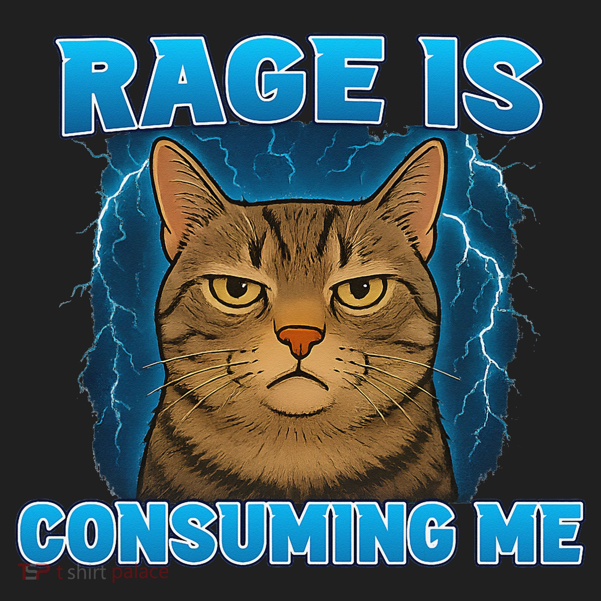 Rage Is Consuming Me Funny Lightning Angry Cat Meme Tumbler