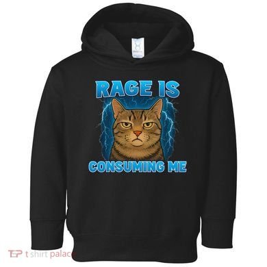 Rage Is Consuming Me Funny Lightning Angry Cat Meme Toddler Hoodie