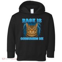 Rage Is Consuming Me Funny Lightning Angry Cat Meme Toddler Hoodie thumb 0