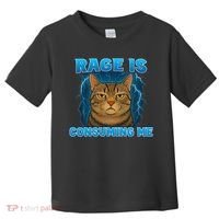 Rage Is Consuming Me Funny Lightning Angry Cat Meme Toddler T-Shirt thumb 0