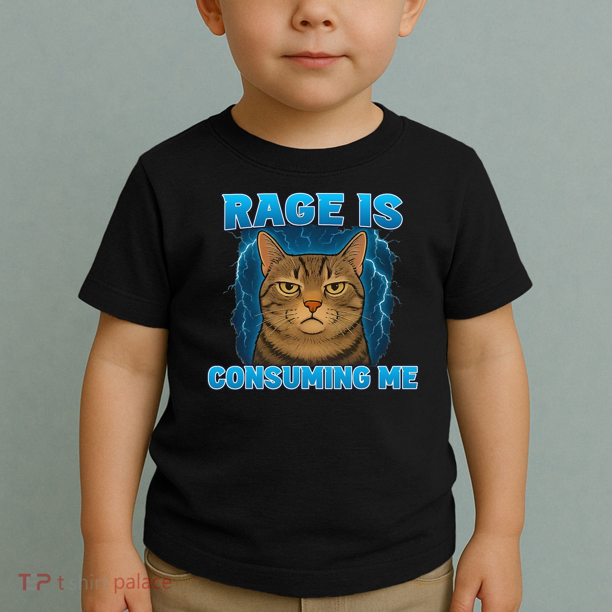 Rage Is Consuming Me Funny Lightning Angry Cat Meme Toddler T-Shirt