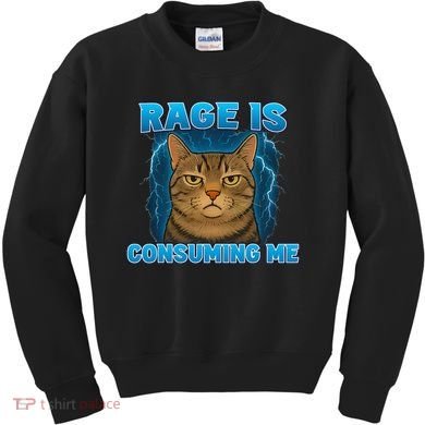 Rage Is Consuming Me Funny Lightning Angry Cat Meme Kids Sweatshirt