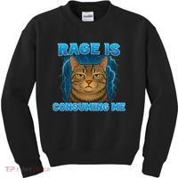 Rage Is Consuming Me Funny Lightning Angry Cat Meme Kids Sweatshirt thumb 0