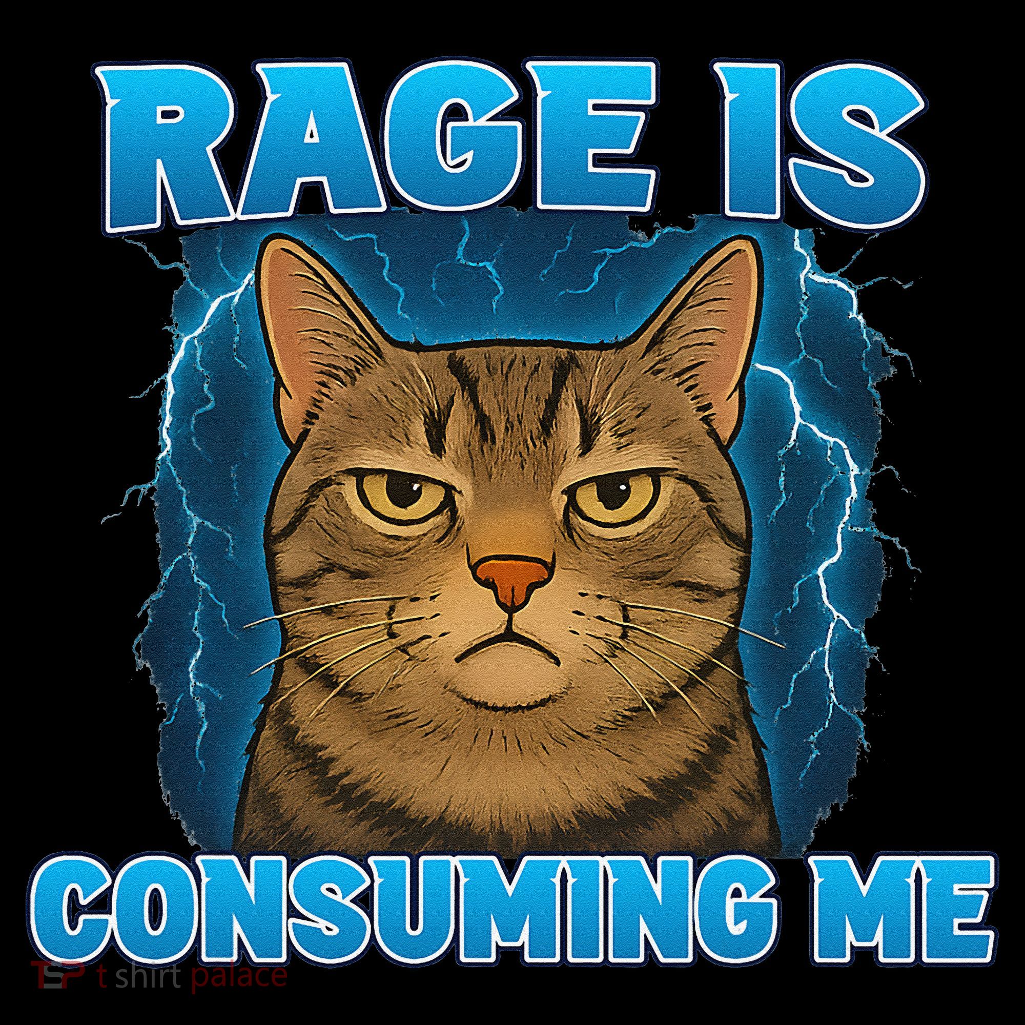 Rage Is Consuming Me Funny Lightning Angry Cat Meme Kids Sweatshirt