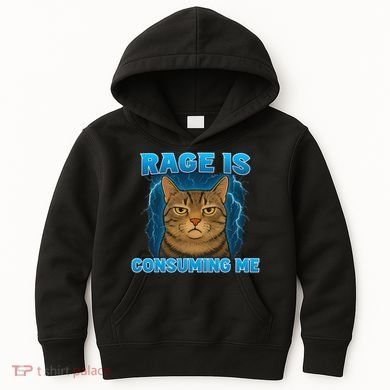 Rage Is Consuming Me Funny Lightning Angry Cat Meme Kids Hoodie