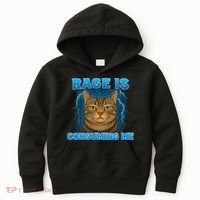 Rage Is Consuming Me Funny Lightning Angry Cat Meme Kids Hoodie thumb 0