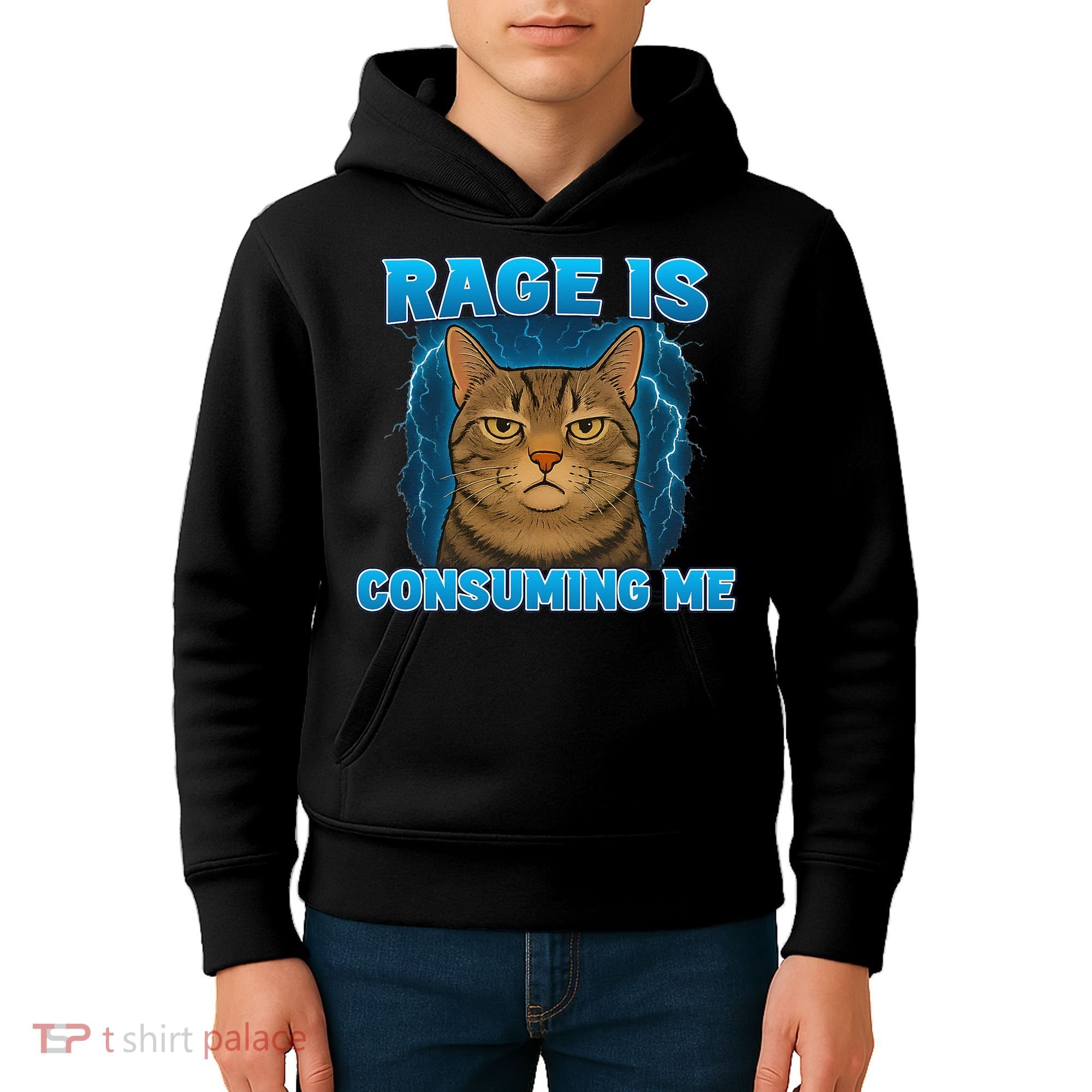 Rage Is Consuming Me Funny Lightning Angry Cat Meme Kids Hoodie