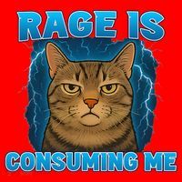 Rage Is Consuming Me Funny Lightning Angry Cat Meme Santa Hat thumb 1
