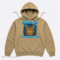 Rage Is Consuming Me Funny Lightning Angry Cat Meme Hoodie thumb 0