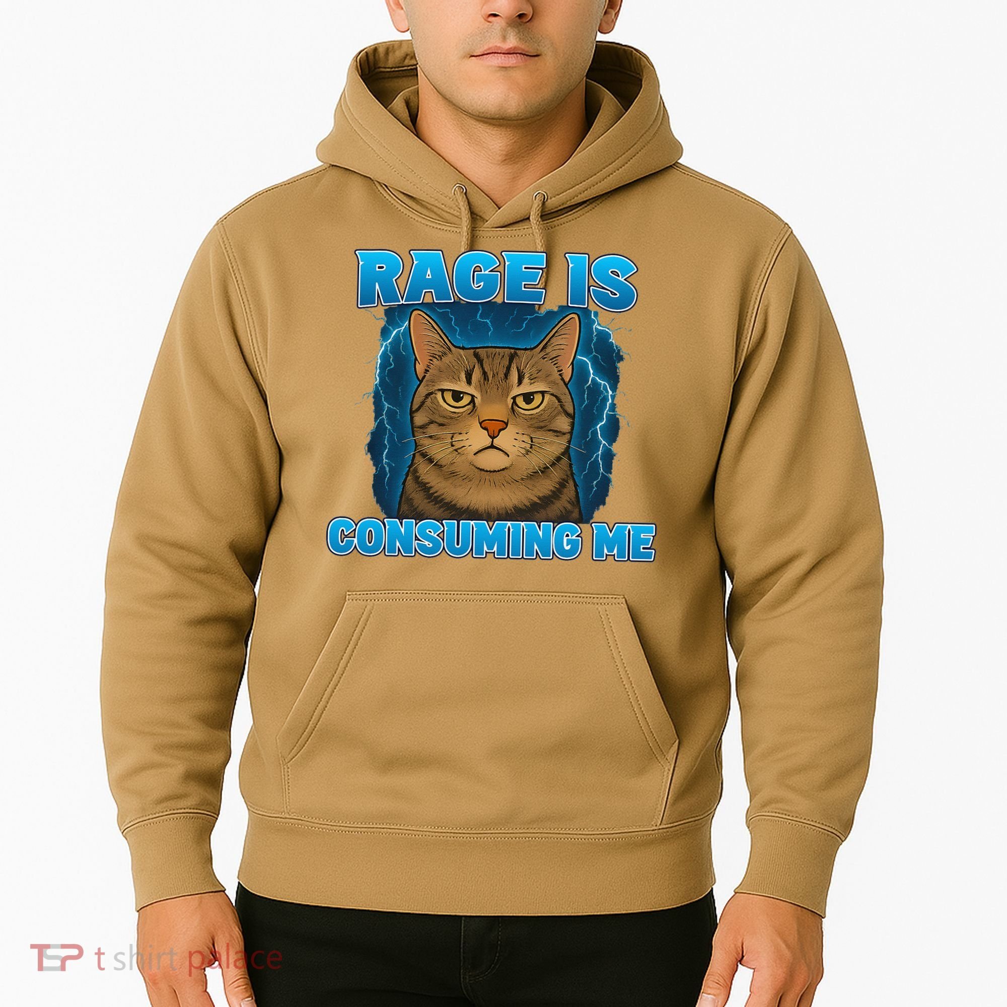 Rage Is Consuming Me Funny Lightning Angry Cat Meme Hoodie