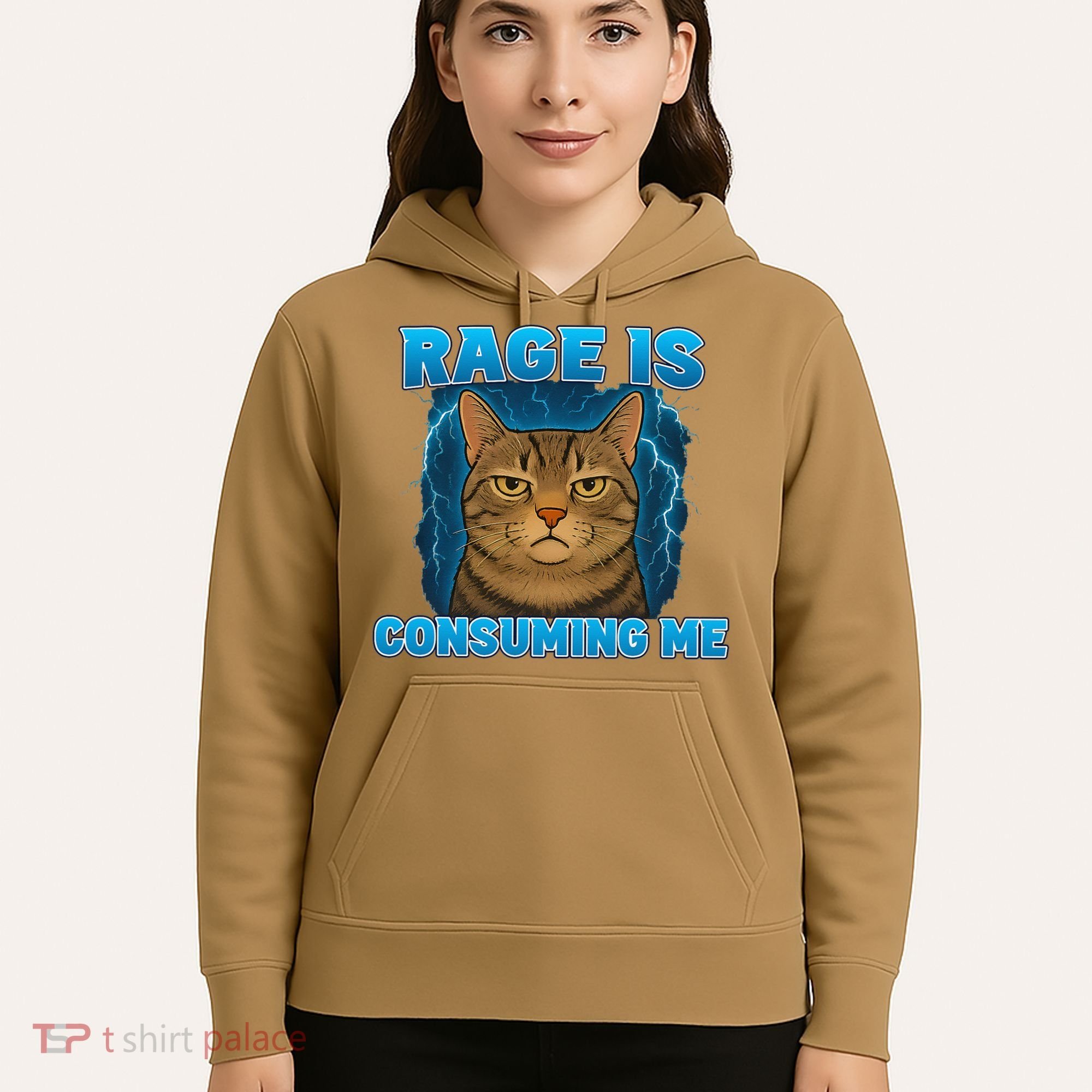 Rage Is Consuming Me Funny Lightning Angry Cat Meme Hoodie
