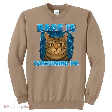 Rage Is Consuming Me Funny Lightning Angry Cat Meme Sweatshirt