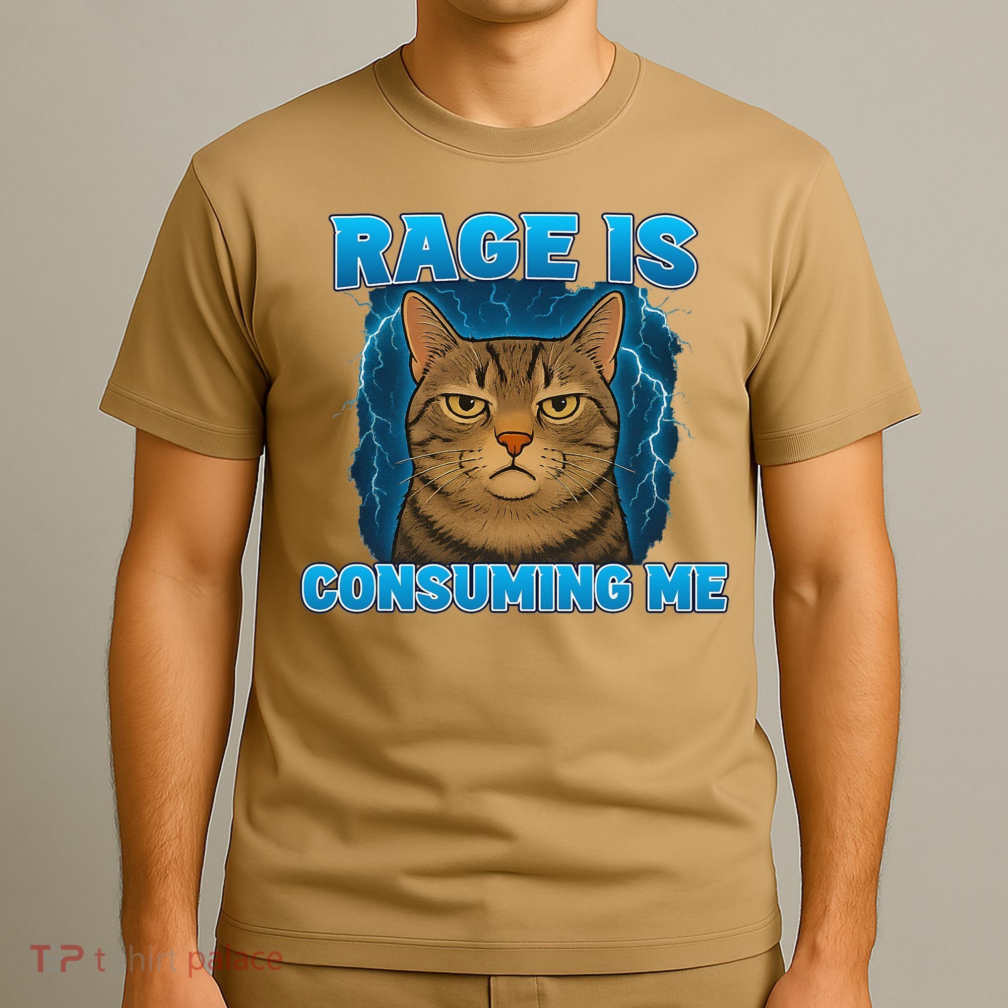 Rage Is Consuming Me Funny Lightning Angry Cat Meme T-Shirt