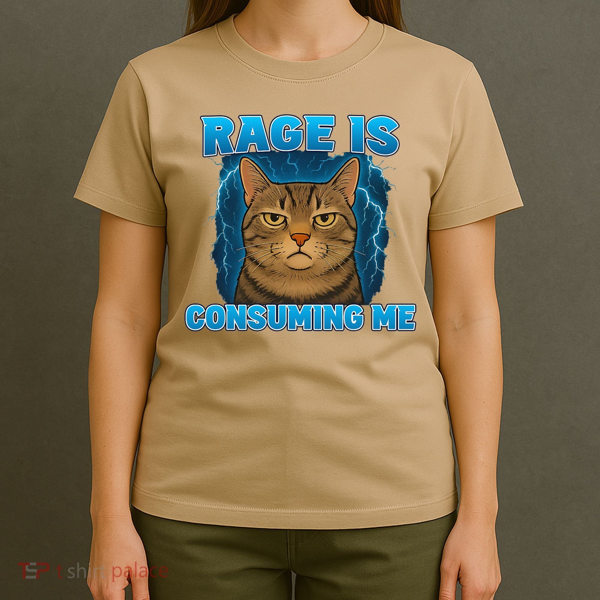 Rage Is Consuming Me Funny Lightning Angry Cat Meme T-Shirt