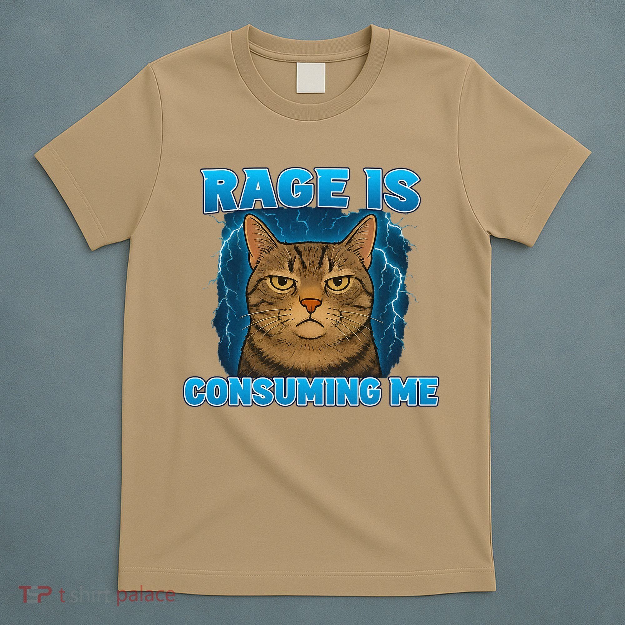 Rage Is Consuming Me Funny Lightning Angry Cat Meme T-Shirt