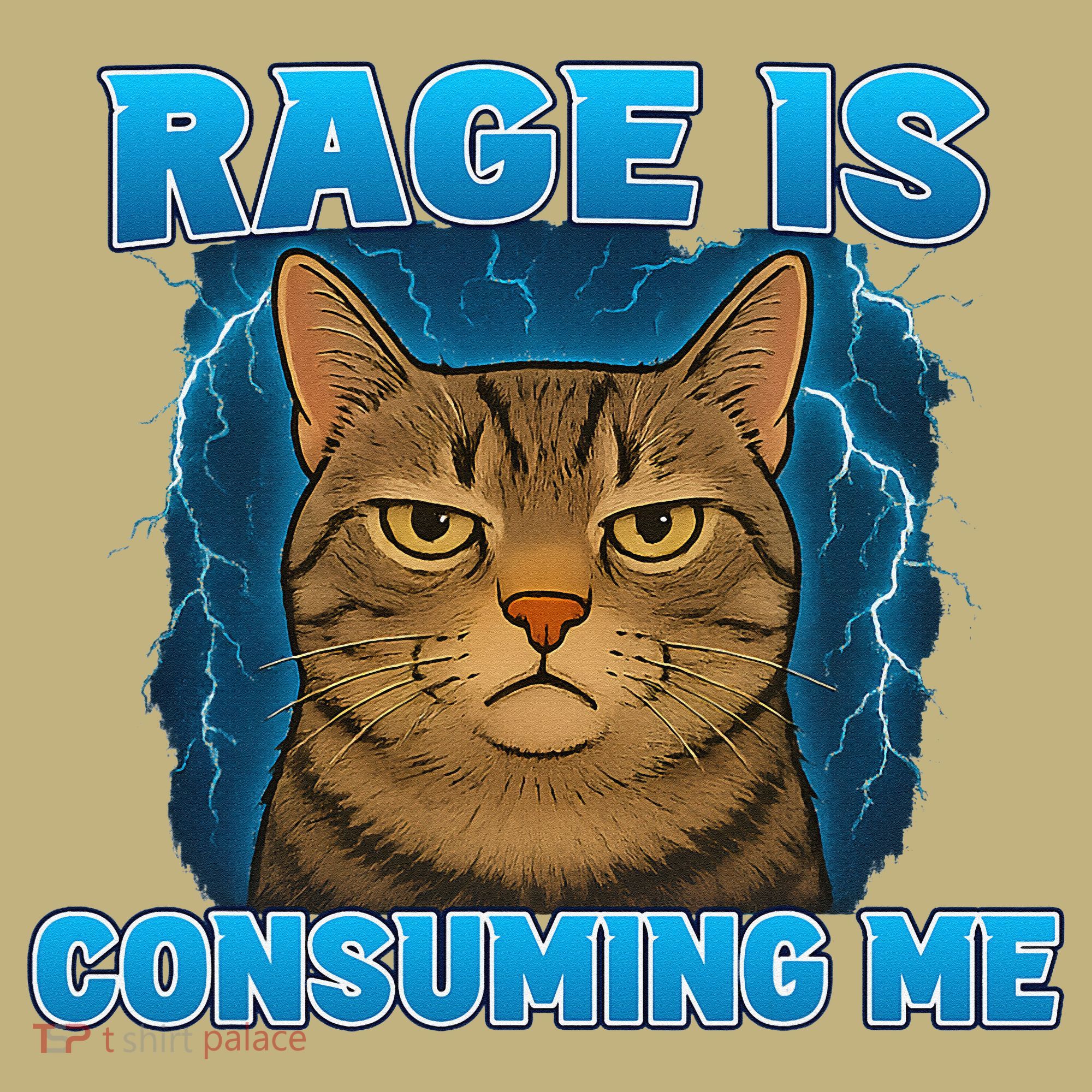 Rage Is Consuming Me Funny Lightning Angry Cat Meme Button
