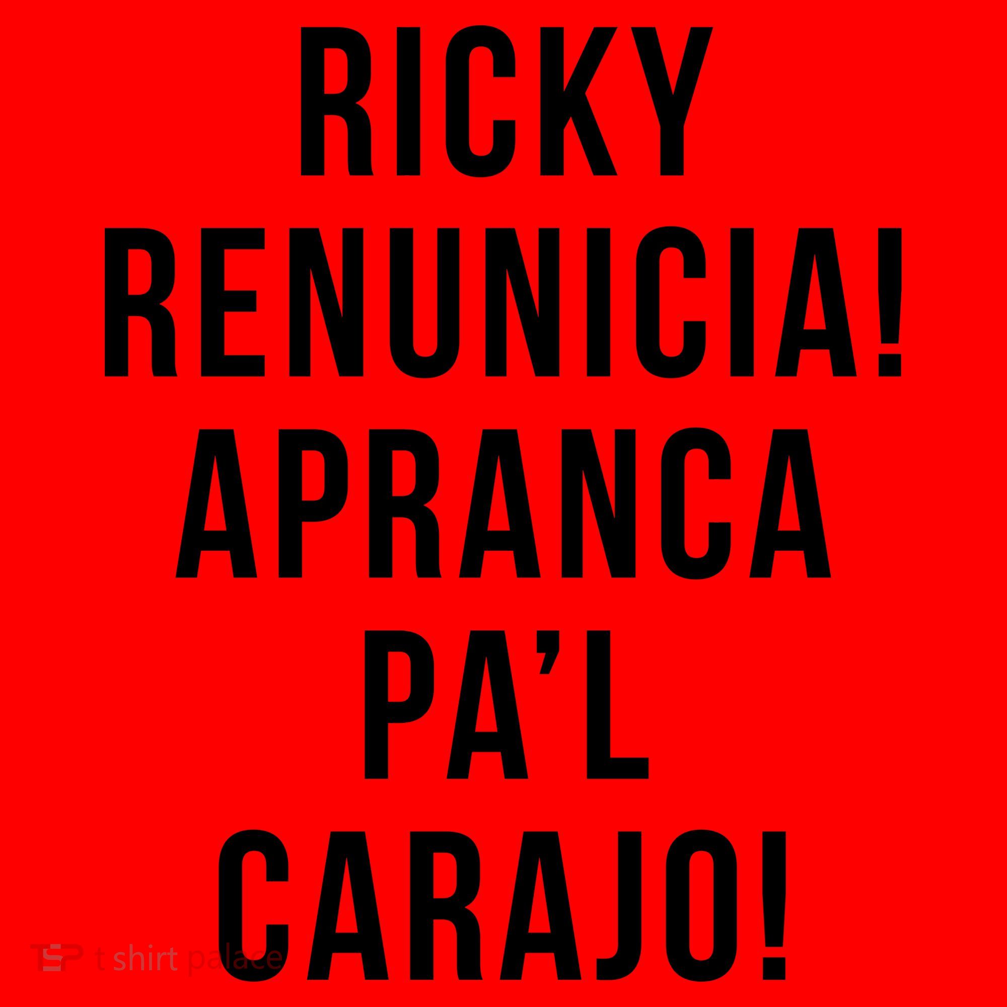 Ricky Renuncia Arranca Pa'l Carajo  Santa Hat