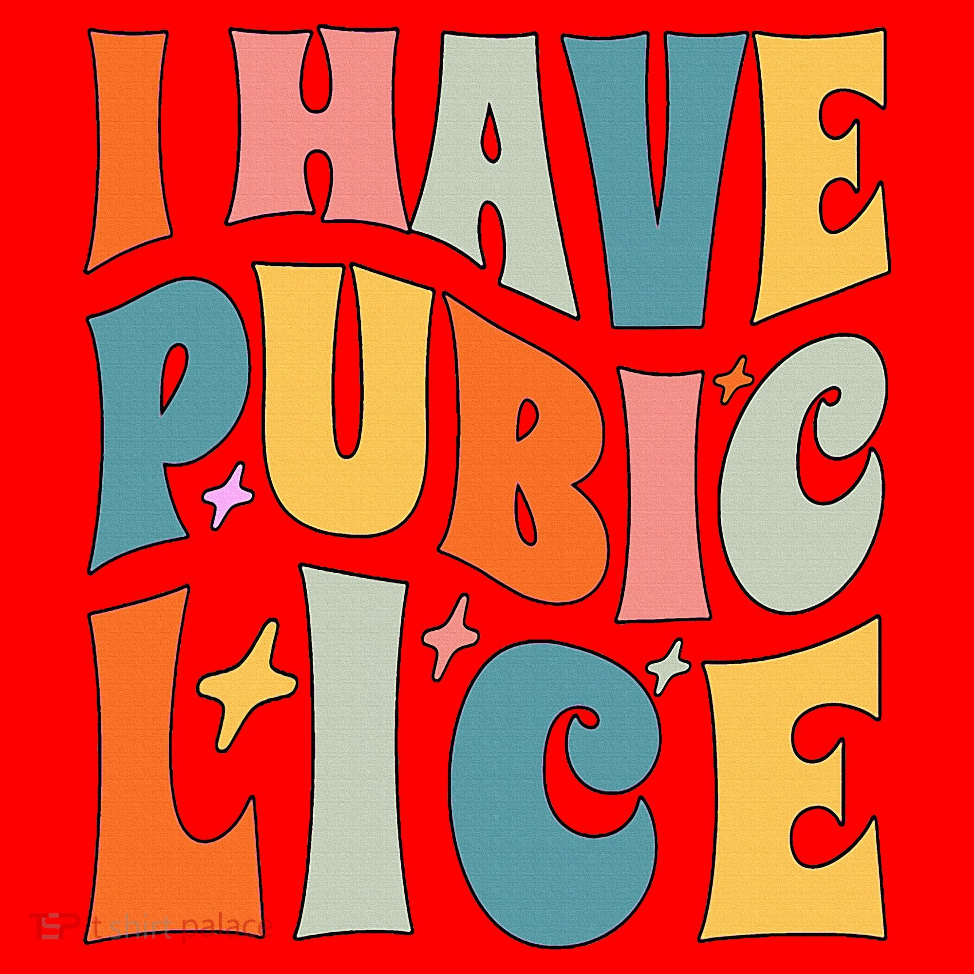 Retro I Have Pubic Lice. Offensive Inappropriate Meme Santa Hat