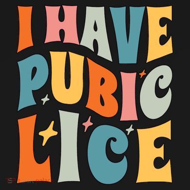 Retro I Have Pubic Lice Offensive Inappropriate Funny Ornament