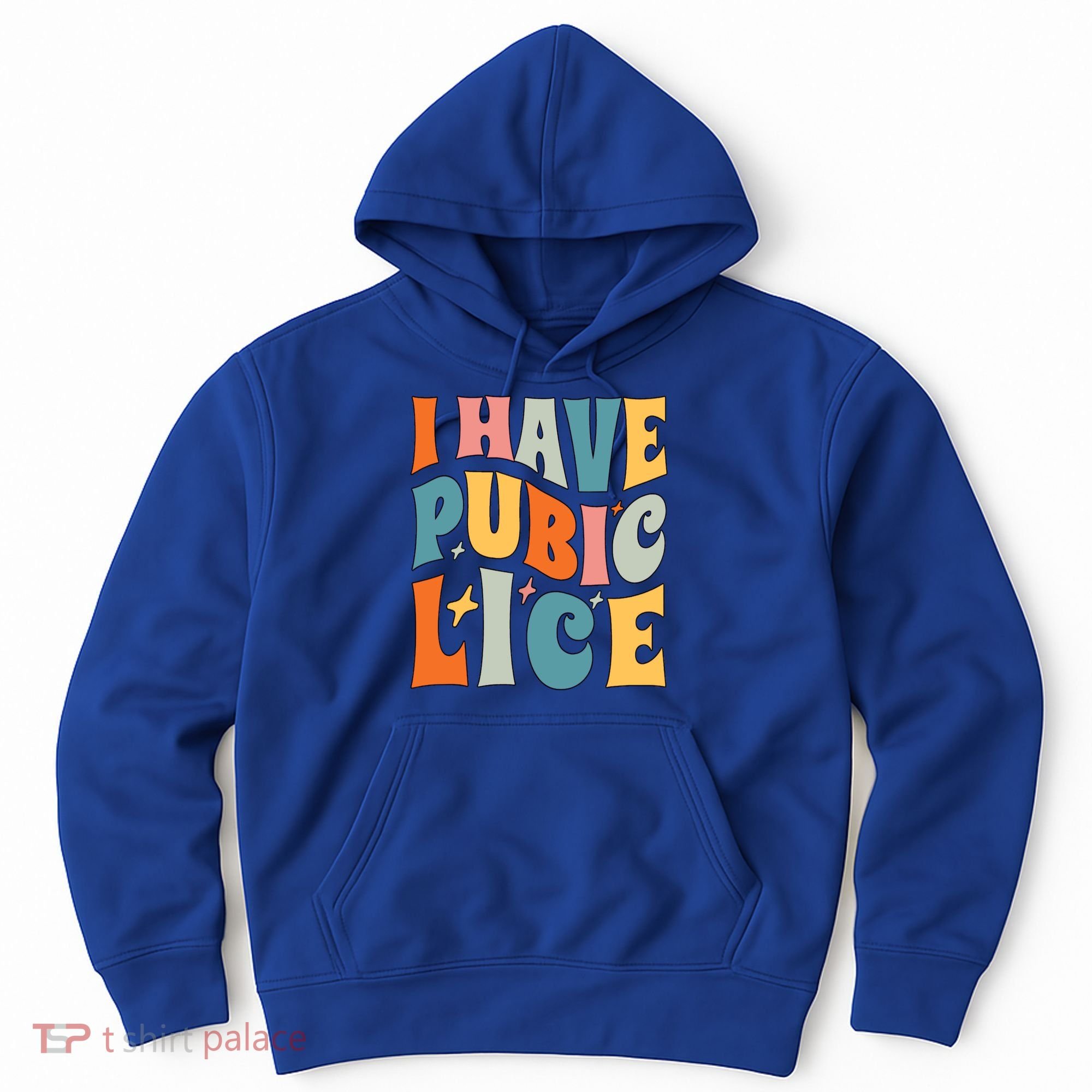 Retro I Have Pubic Lice Offensive Inappropriate Funny Hoodie