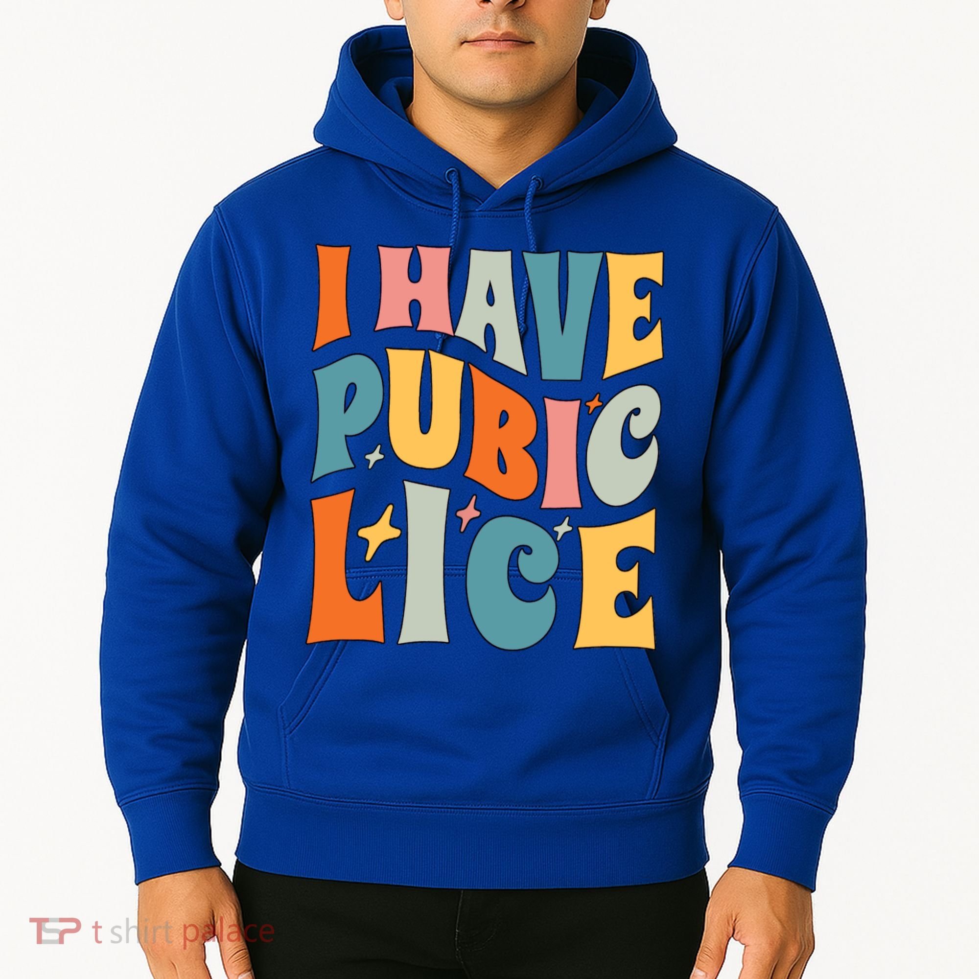 Retro I Have Pubic Lice Offensive Inappropriate Funny Hoodie