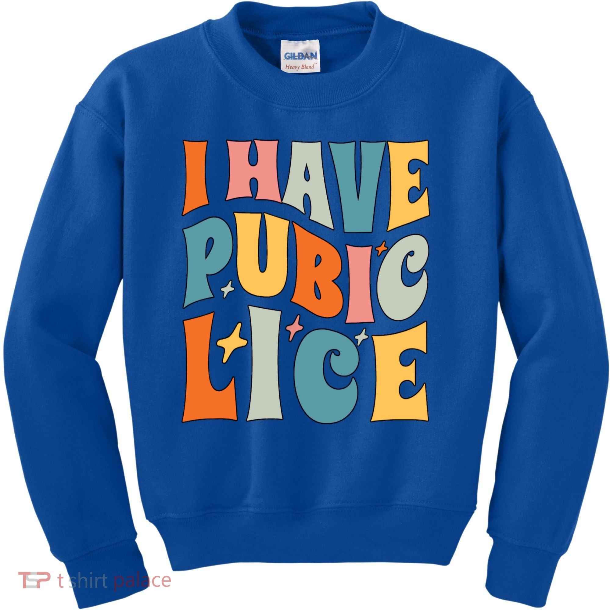Retro I Have Pubic Lice Offensive Inappropriate Funny Kids Sweatshirt