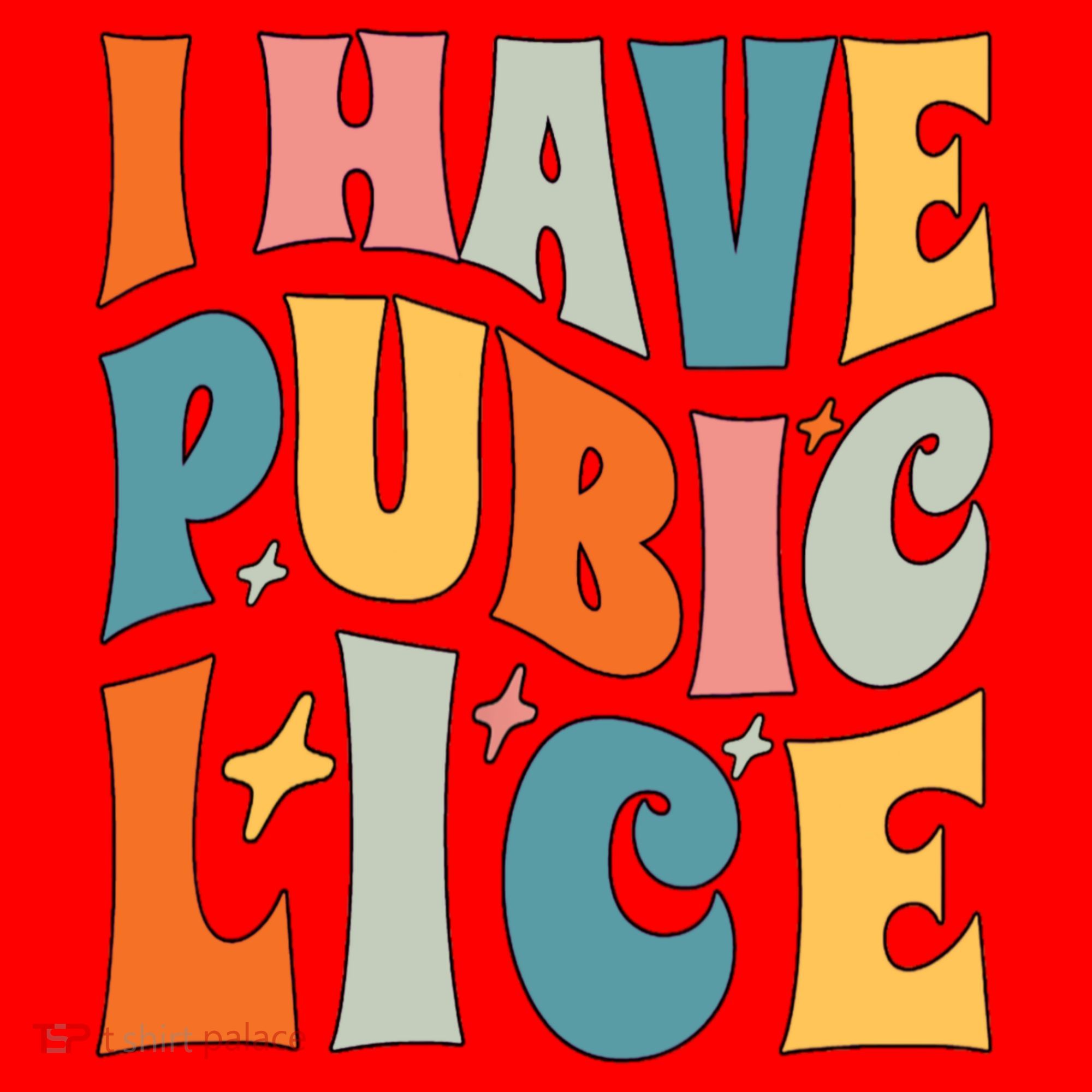 Retro I Have Pubic Lice Offensive Inappropriate Funny Santa Hat