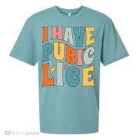 Retro I Have Pubic Lice Offensive Inappropriate Funny Sueded Cloud Jersey T-Shirt thumb 0