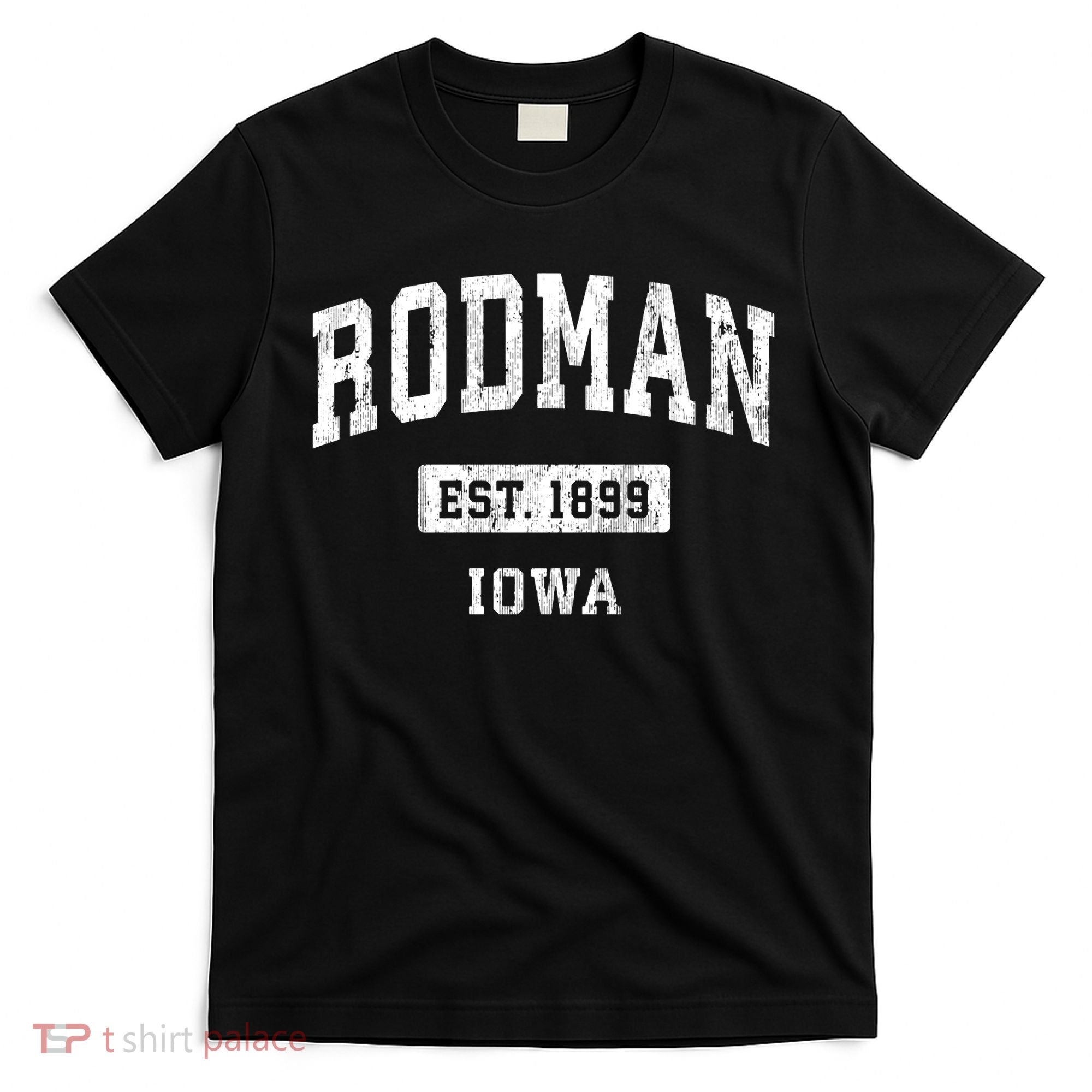 Rodman Iowa Ia Vintage Sports Established T-Shirt