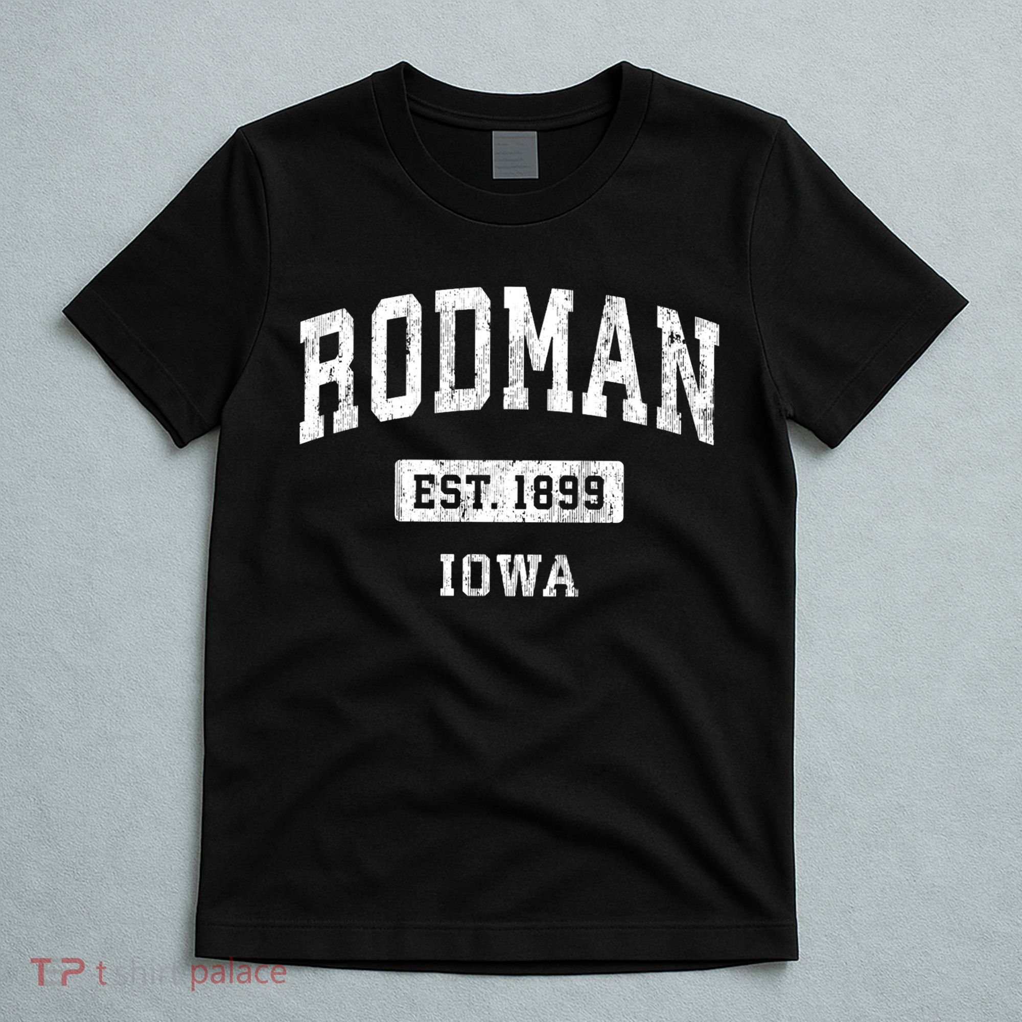 Rodman Iowa Ia Vintage Sports Established T-Shirt