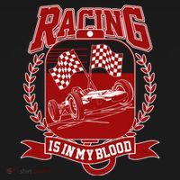 Racing Is In My Blood Toddler Hoodie thumb 2